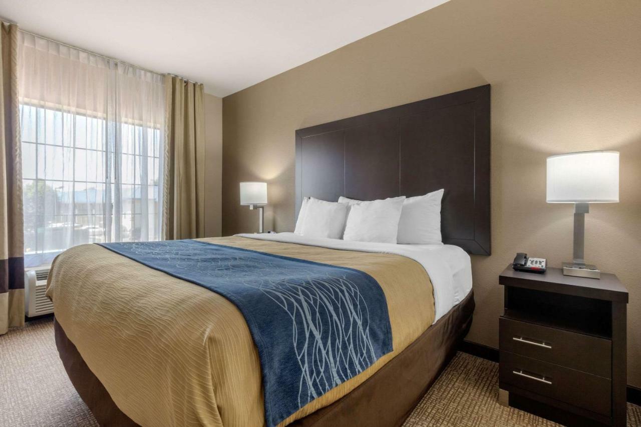 Comfort Inn & Suites North Little Rock Mccain Mall Dış mekan fotoğraf